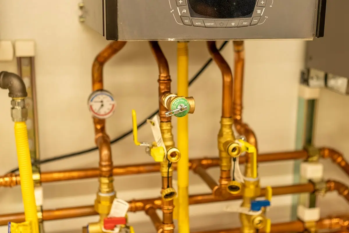 Licensed technician providing Emergency Plumbing for a homeowner in Rainsville